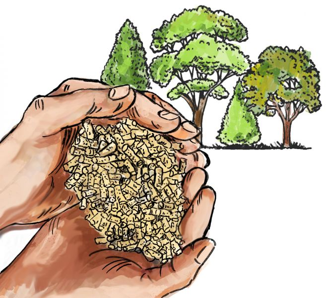 protejarea mediului protejarea mediului