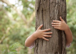 xcompany sustainability 3.jpg.pagespeed.ic .ZXyli5fDzr