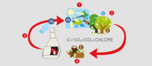 xcompany sustainability 5.jpg.pagespeed.ic .8iunZRKJ6p
