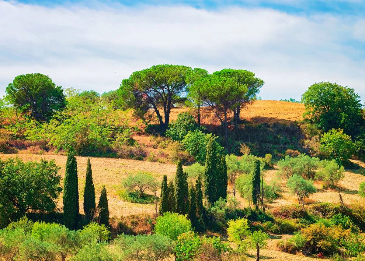 campagna provincia di enna sicilia